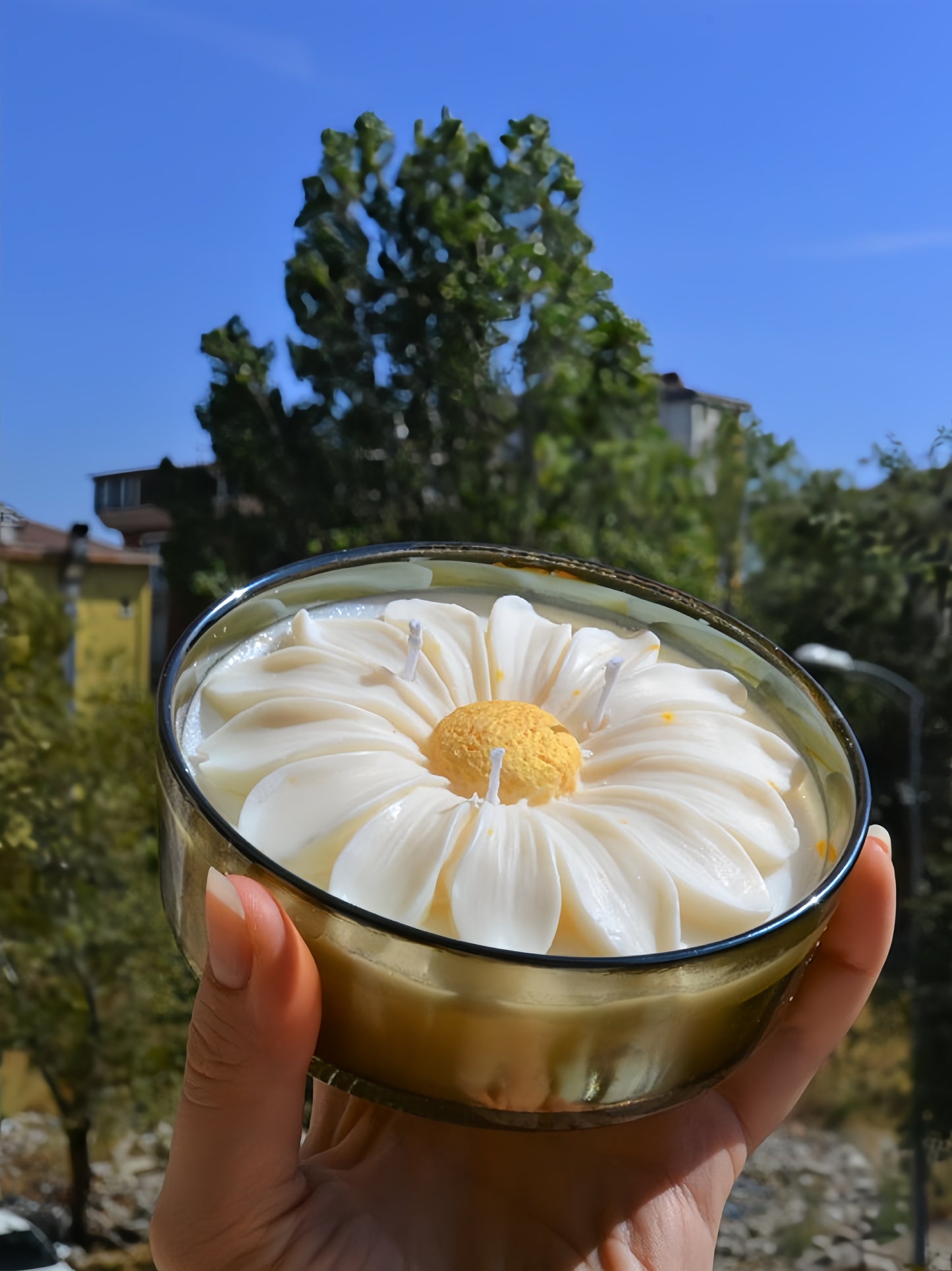Daisy Candle - Papatyalı Soya Mum
