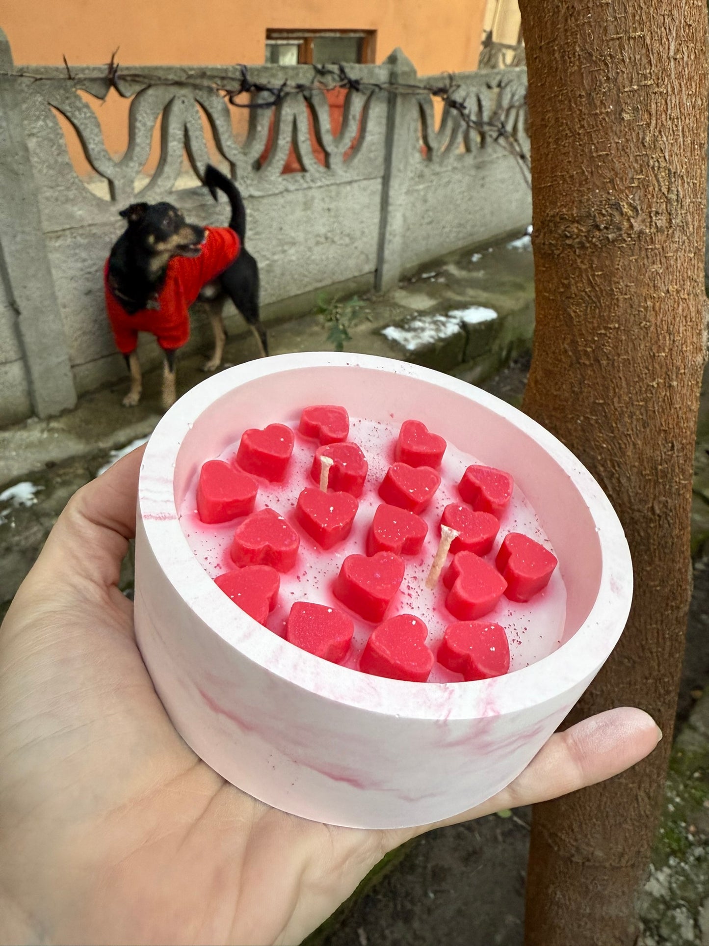 Mini Kalpli Soya Mum