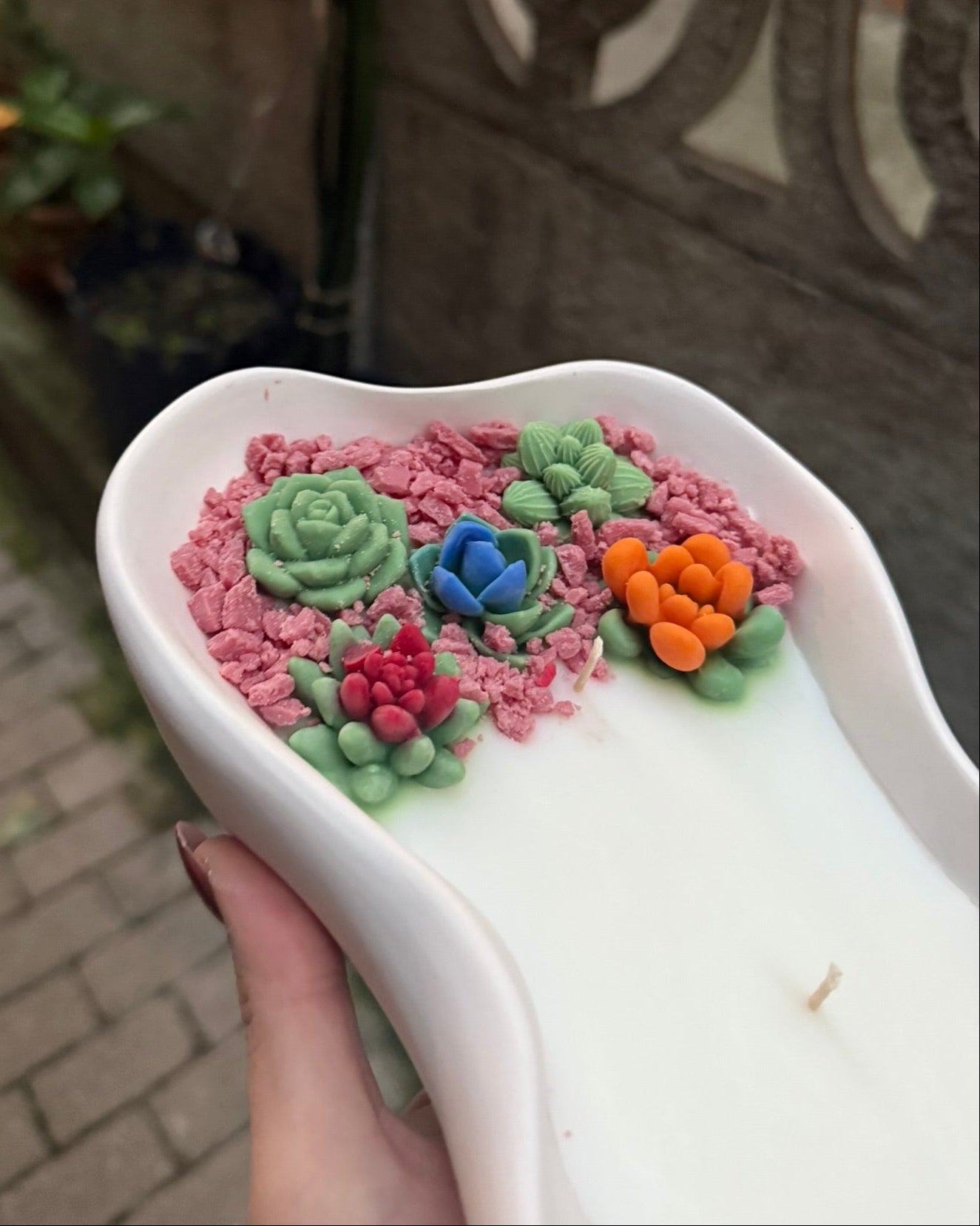 Taş Tozu Kasede Sukulentli Soya Mum